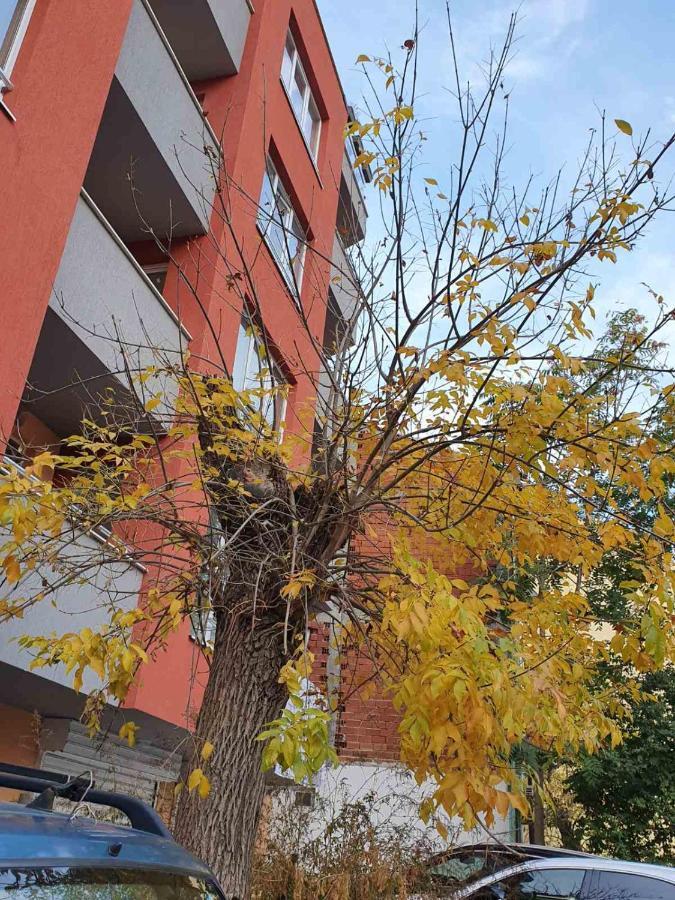 Stay Inn Plovdiv Exterior foto